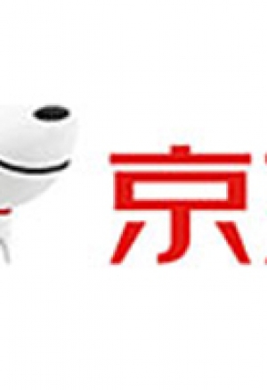 京东